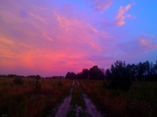 WP_000028