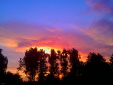 WP_000032 (2)