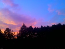 WP_000034 (1)
