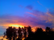 WP_000036