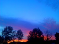 WP_000038