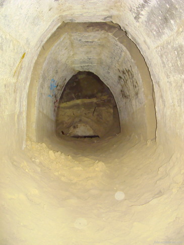 DSC01455